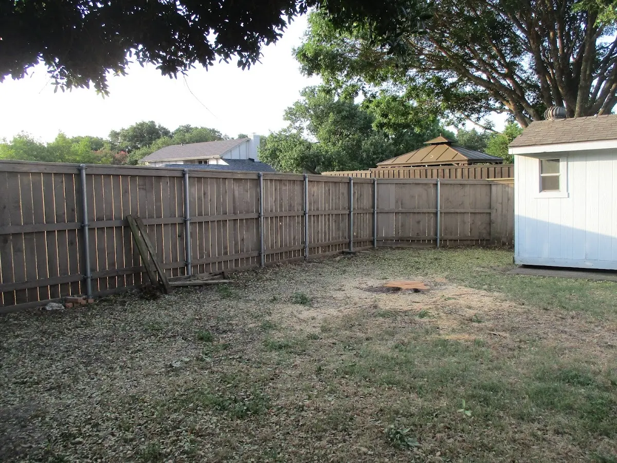 Cleared yard after professional tree removal in Saint Jacob